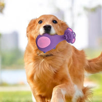Dog Toys