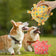 Soft Plush Squeaky Ball Toy for Dogs