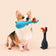 Latex Chicken Squeaky Toy for All Dogs