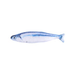 Soft Catnip Fish Plush Chew Toy for Cats