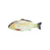 Soft Catnip Fish Plush Chew Toy for Cats