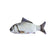 Soft Catnip Fish Plush Chew Toy for Cats