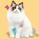 Animal Plush Catnip Toy for Chewing Fun
