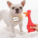Latex Chicken Squeaky Toy for All Dogs