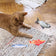 Soft Catnip Fish Plush Chew Toy for Cats